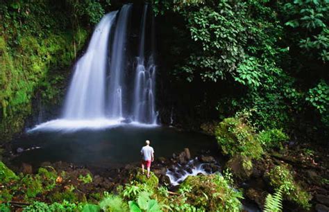 Volcán Arenal en La Fortuna: 39 opiniones y 138 fotos