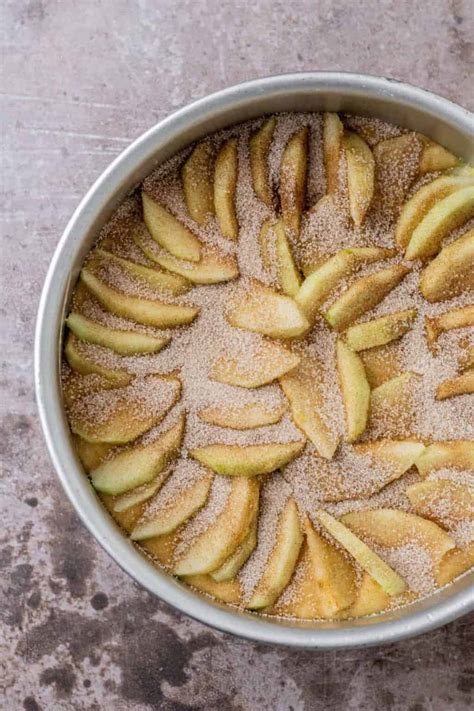 Dutch Apple Cake - Baking With Butter