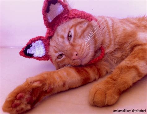 Crochet fox hat for cats :D by AmiAmaLilium on DeviantArt