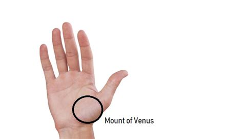 Mount of Venus Palmistry – Reading and Meaning - Dream Astro Meanings