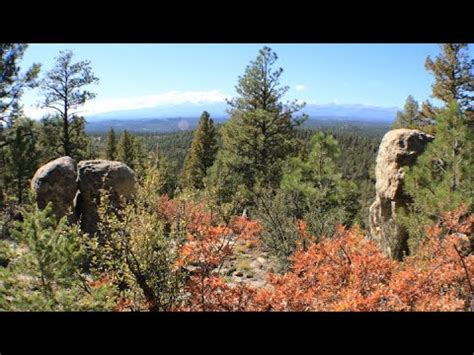 40 Acres Bordering Spanish Peaks Wildlife Area with Insane Views - YouTube