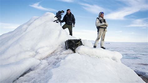 How natural are nature documentaries? | The Verge