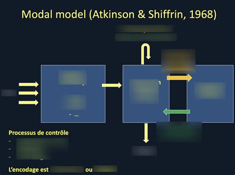 schéma modal model of memory (Atkinson & Shiffrin) Diagram | Quizlet