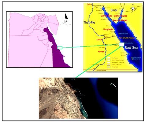 Location map of Marsa Alam | Download Scientific Diagram