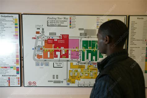 Young man reading a hospital map - Stock Image - C053/1348 - Science Photo Library