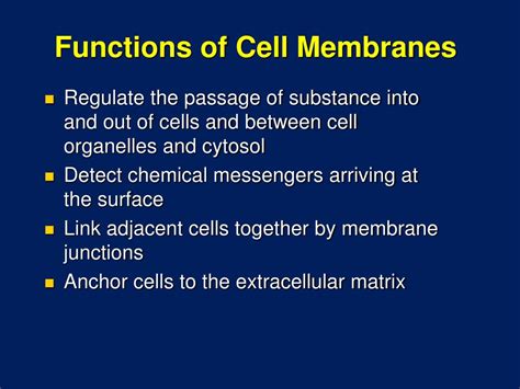 PPT - Cell Membrane Structure and Function PowerPoint Presentation ...