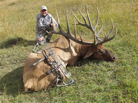 COLORADO TROPHY ELK HUNTS AT BULL BASIN RANCH COLORADO TROPHY BULL ELK HUNTS 400 inch elk SCI ...