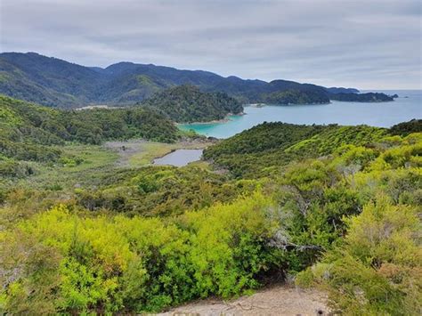 Abel Tasman Coast Track (Abel Tasman National Park) - 2020 All You Need ...