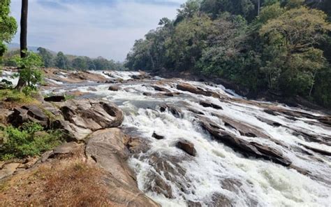 Vazhachal Waterfalls - Flora Hospitality | Official Site | UAE | India