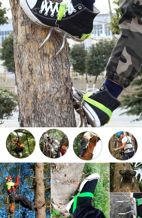 Tree Climbing Spikes | Tree Climbing Gear – Wanda Supply