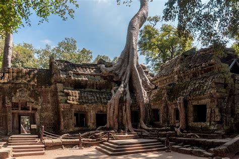 Ta Prohm Temple - New Mandala