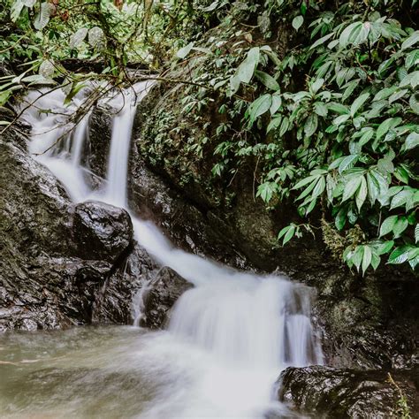 Can you picture yourself spending a night at the oldest rainforest in the world at Brunei, a ...