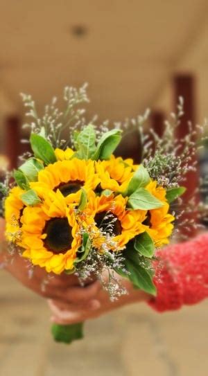 selective focus photography of 3 assorted flower table centerpieces free image | Peakpx