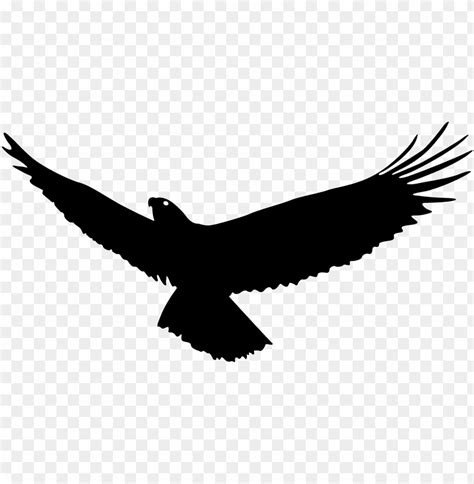 Free download | HD PNG eagle flying silhouette PNG transparent with Clear Background ID 88693 ...