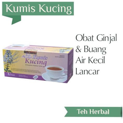 Teh Kumis Kucing Melancarkan Buang Air Kecil | Sehat Herba