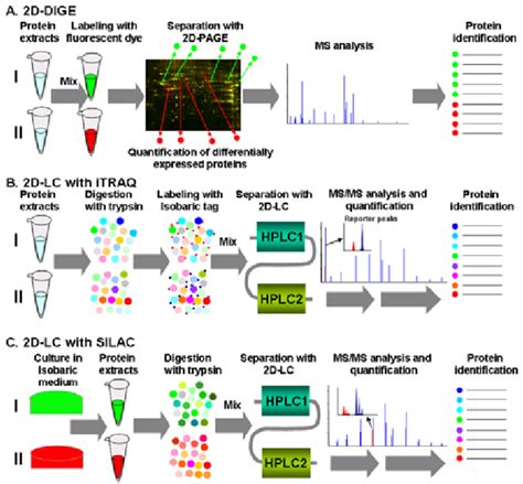 Three major approaches for quantitative proteomic analysis. (A) 2D-DIGE ...