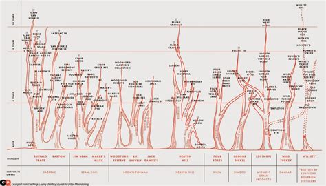 The Genealogical World of Phylogenetic Networks: The bourbon family forest?