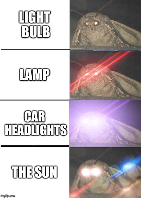 Moth Lamp Meme Brother