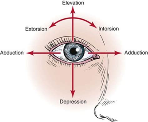 The Eye | Nurse Key