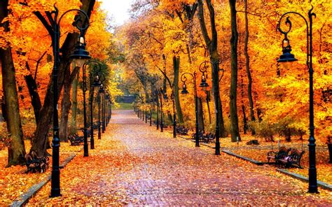 Autumn Wallpaper: Beautiful Fall Wallpapers | Autumn leaves wallpaper, Fall pictures, Autumn scenes