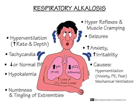 respiratory alkalosis Nursing School Studying, Nursing School Tips ...