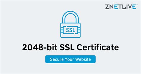 Why You Should Forget About Improving Your Best SSL Certificate – The Journey of Lester 977