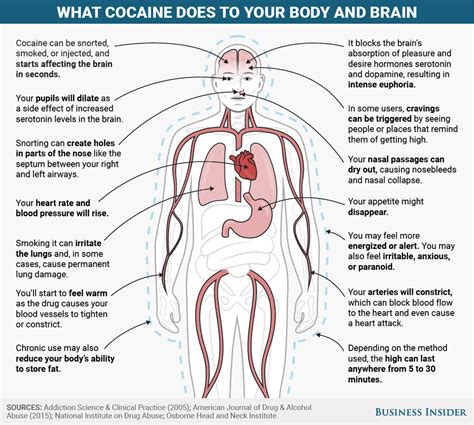 What cocaine does to your body and brain