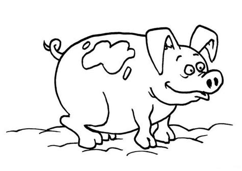 Pig Mud Bath Coloring Page | Coloring Sky