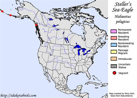 Steller's Sea-Eagle - North American Range Map