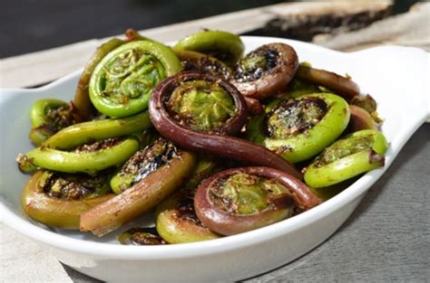 Sauteed Fiddlehead Ferns | Recipe