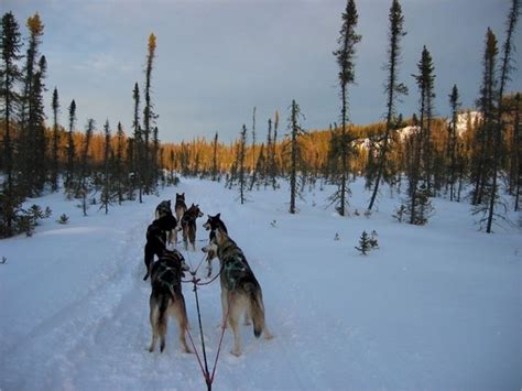 Canadian Shield - The Physical Regions of North America