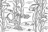 Free Printable Ocean Animals Coloring Pages  sketch template
