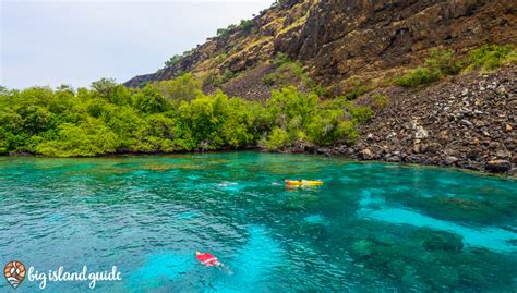 5 Spots with the Best Snorkeling on the Big Island | Big Island Guide