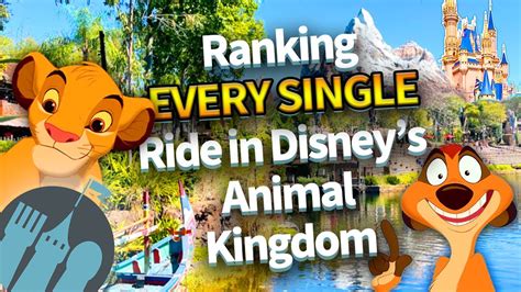 Ranking EVERY SINGLE Ride in Disney’s Animal Kingdom – HousePetsCare.com