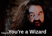 You Re A Wizard Harry Meme GIFs | Tenor