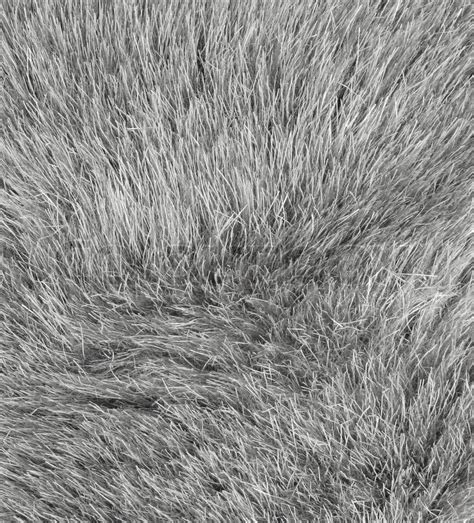 Grey fur background texture | Stock image | Colourbox