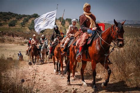 Battle of Hattin 2017. Bristles and brambles. | Horses, Battle of ...