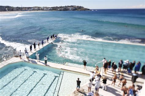 OUR POOL - Bondi Icebergs Club