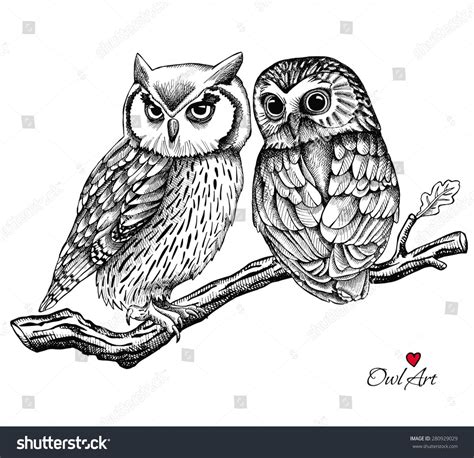 Owl Tattoo Drawings, Owls Drawing, Bird Drawings, Animal Drawings ...