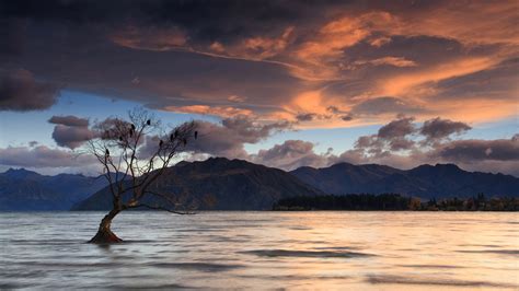 Download Tree Mountain Cloud Water Nature Lake HD Wallpaper