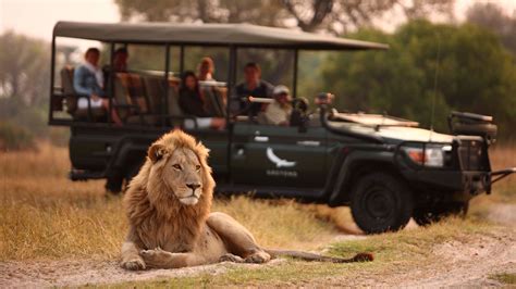 Safari Game Drive | Okavango Delta Safari, Botswana | &Beyond