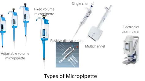 Micropipette: Parts, Types, and Uses – Microbe Online