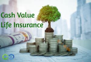 Cash Value Life Insurance (Prioritizing Cash Value Growth vs Death Benefit)