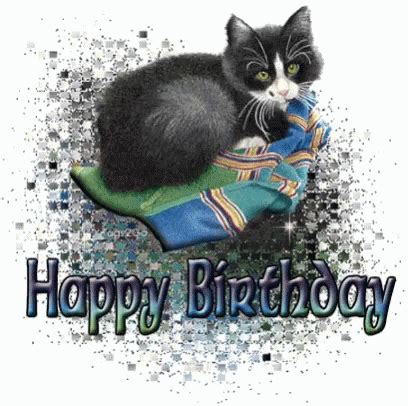 Happy Birthday Cat Glitter GIF - HappyBirthdayCat Glitter Sparkle - Discover & Share GIFs