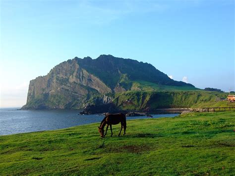 Jeju Korea Seashore - Free photo on Pixabay