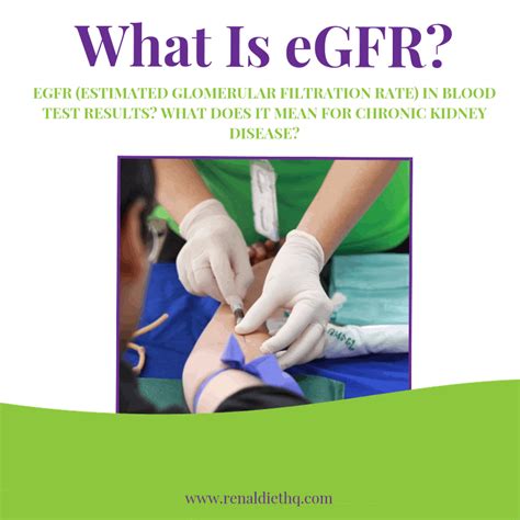 eGFR Blood Test - Renal Diet HQ