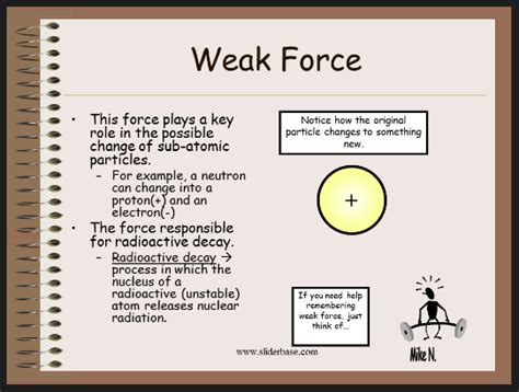 Weak Nuclear Force Examples