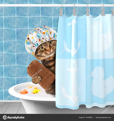 Pictures: funny moist | Funny cat with accessories for bathtub. — Stock ...