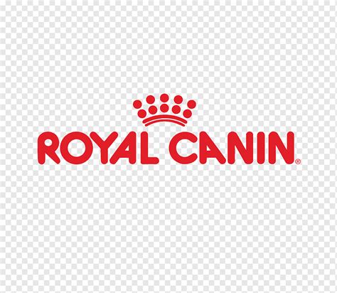 Royal Canin Cat Food Labrador Retriever Dog Food Pet, pet food, text ...