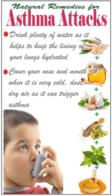 Pin by Pamela Bell English on Asthma causes and solutions | Natural ...